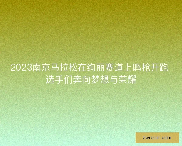 2023南京马拉松在绚丽赛道上鸣枪开跑 选手们奔向梦想与荣耀