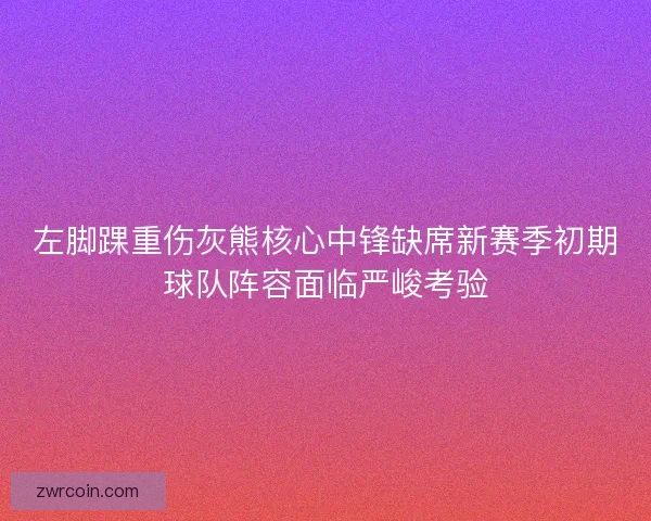 左脚踝重伤灰熊核心中锋缺席新赛季初期球队阵容面临严峻考验 左脚踝重伤灰熊核心中锋缺席新赛季初期球队阵容面临严峻考验
