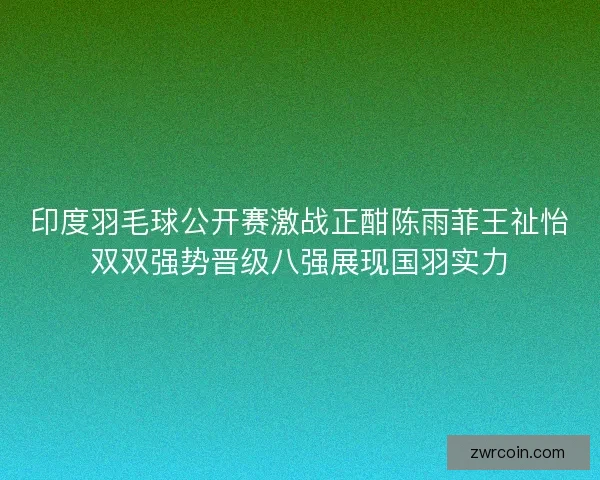印度羽毛球公开赛激战正酣陈雨菲王祉怡双双强势晋级八强展现国羽实力