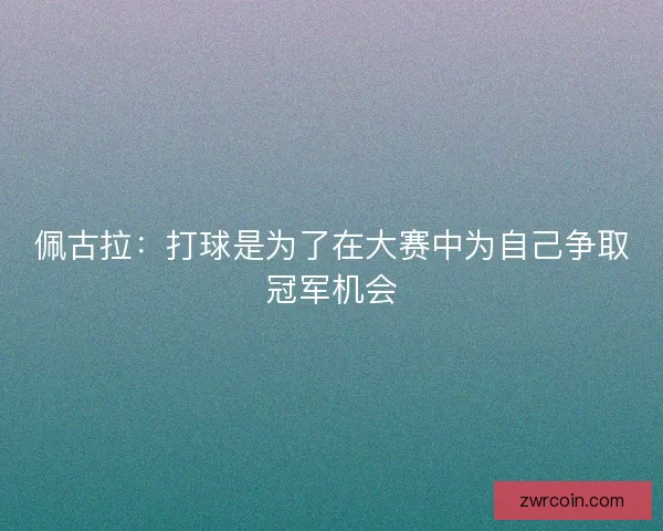 佩古拉:打球是为了在大赛中为自己争取冠军机会 佩古拉:打球是为了在大赛中为自己争取冠军机会